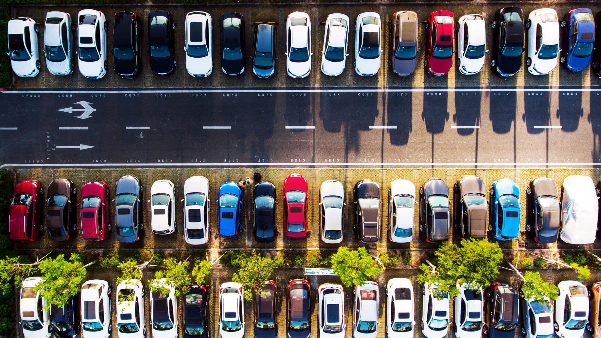 Ten Points To Consider Before Buying Import Cars In The UAE | Import Car In UAE — cover image