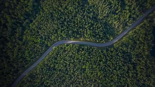 Audi Middle East Drives Sustainable Mobility Through Tree-Nation Initiative