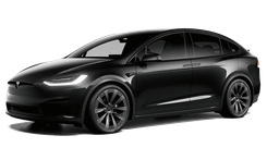 Image of Model X